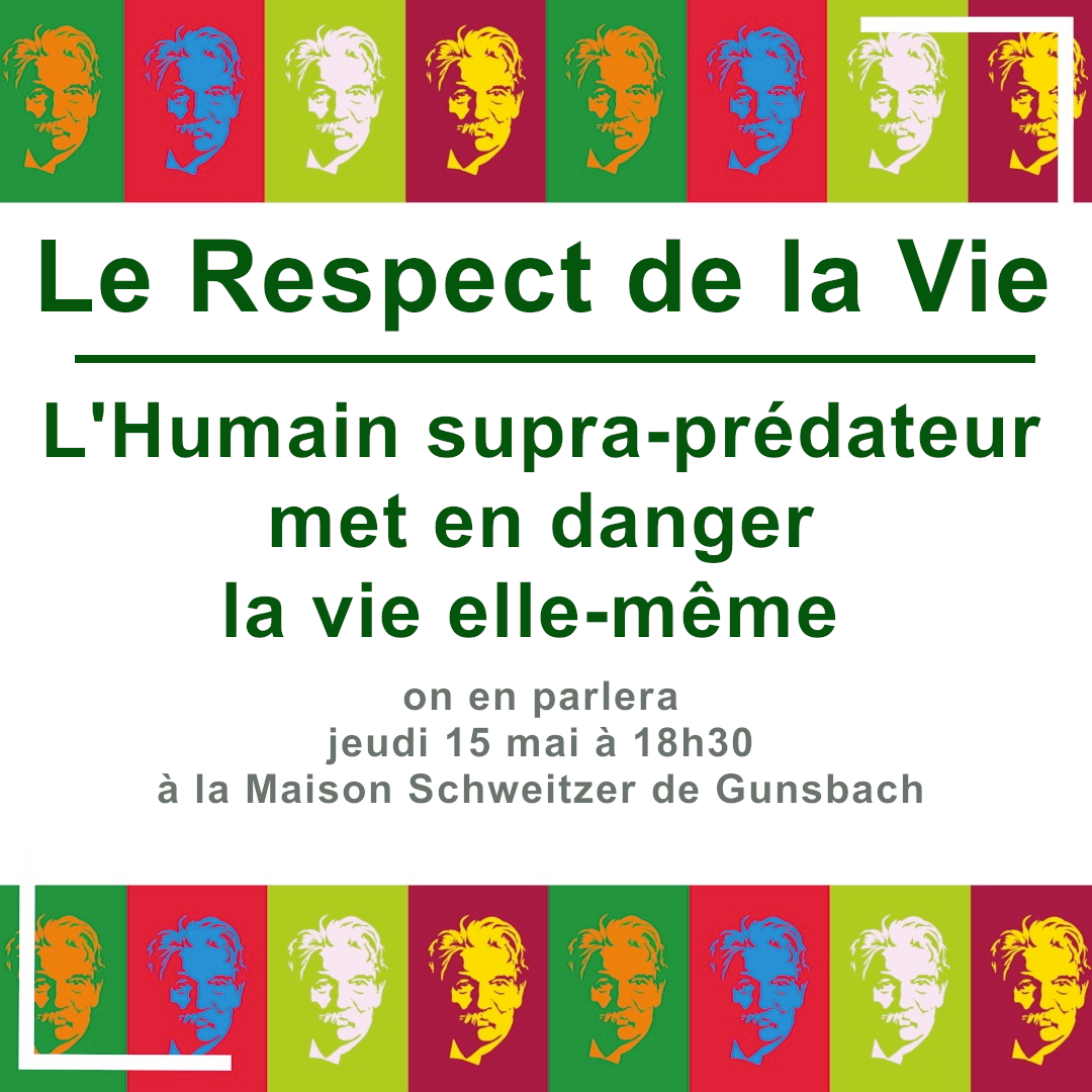 « Penser pour panser le monde »